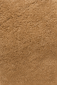 The Bhadohi — Sienna