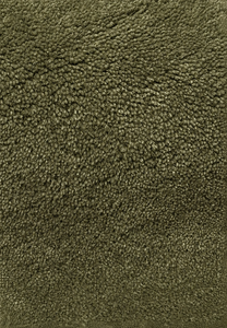 The Bhadohi — Eucalyptus