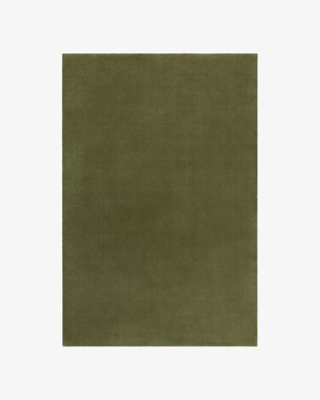 The Bhadohi — Eucalyptus