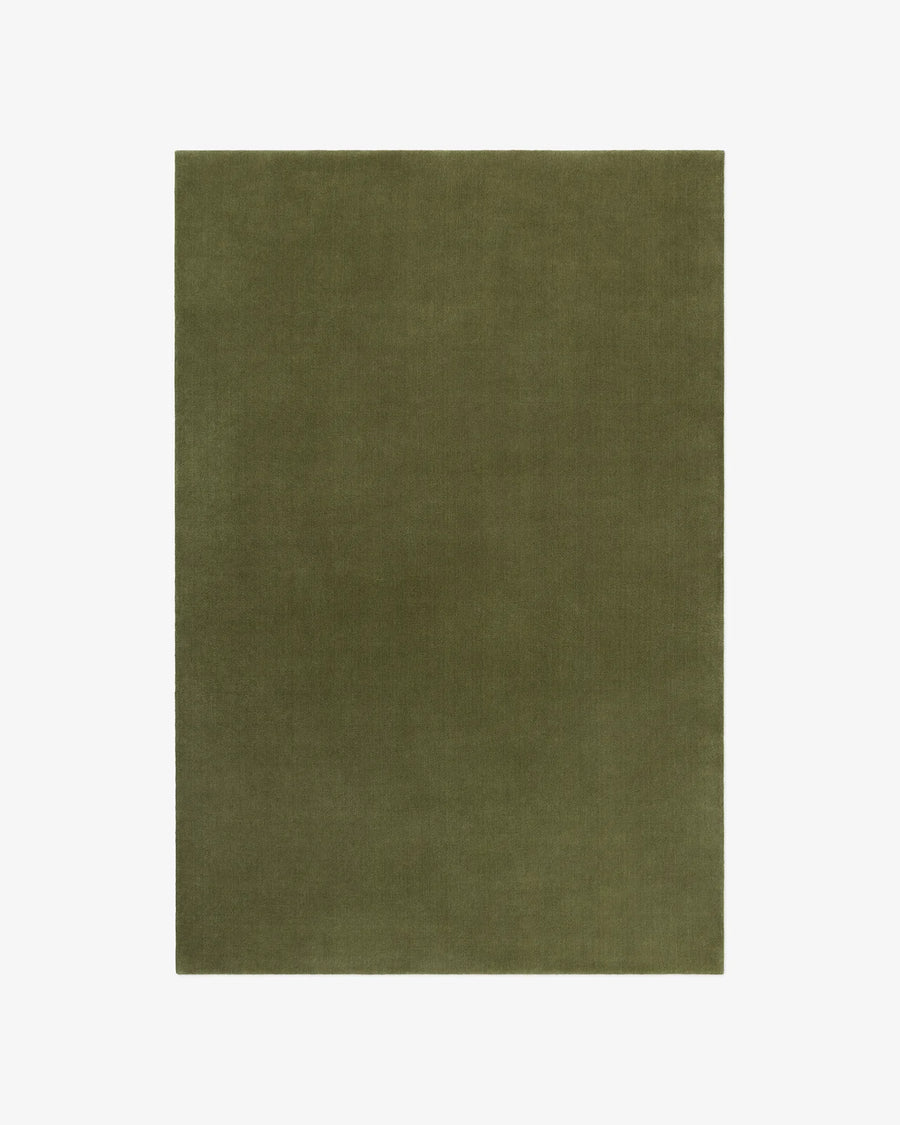 The Bhadohi — Eucalyptus