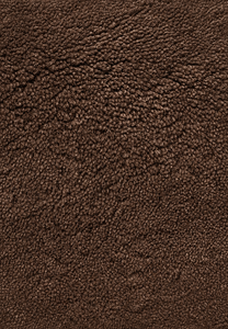 The Bhadohi — Cacao